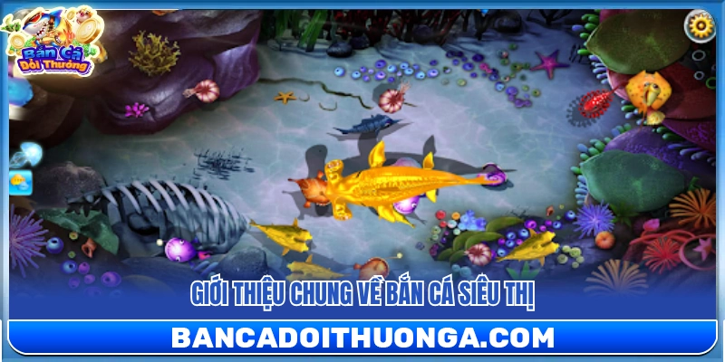 Bao quát về trò chơi bắn cá siêu thị.