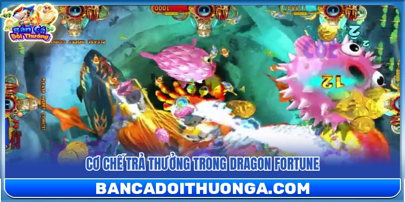 Tìm hiểu cơ chế trả thưởng của Dragon Fortune