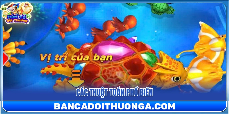 Những quy luật lập trình thường gặp nhất