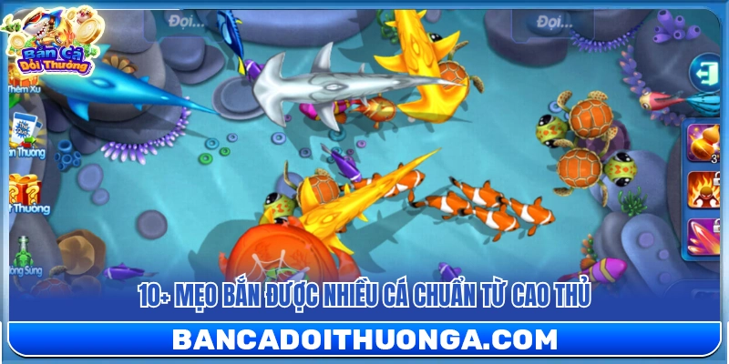 10 mẹo bắn được nhiều cá cực chuẩn từ các bậc thầy