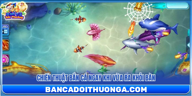 Mẹo chơi bắn cá siêu thị tiêu diệt mục tiêu ngay tại rìa